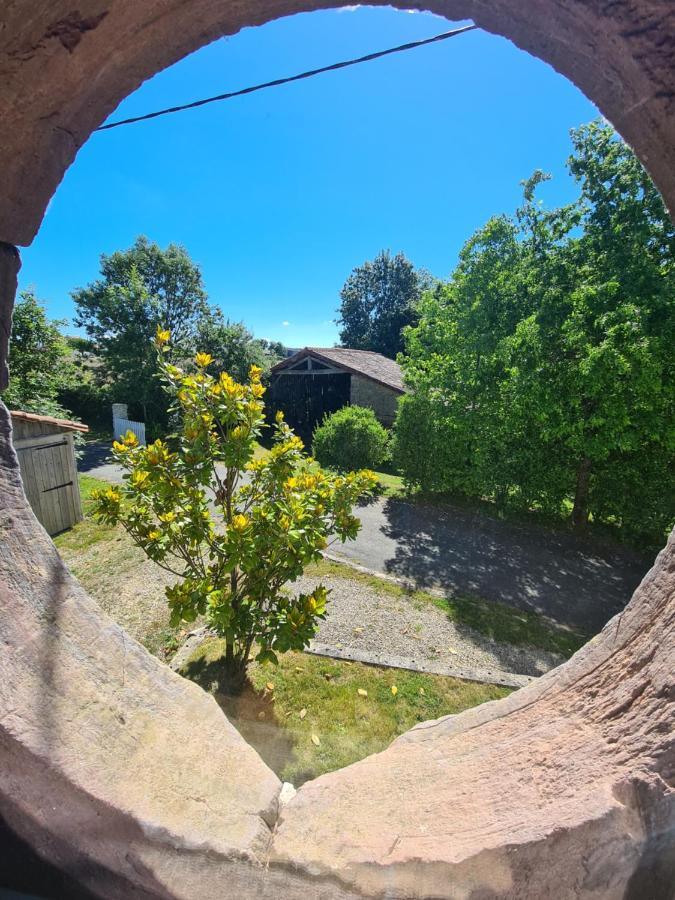 Saint-Pierre-du-Chemin Le Terrier Maison De Campagne 250 M2 Grande Capacite 20 Couchages, 4500M2 De Terrain 빌라 외부 사진